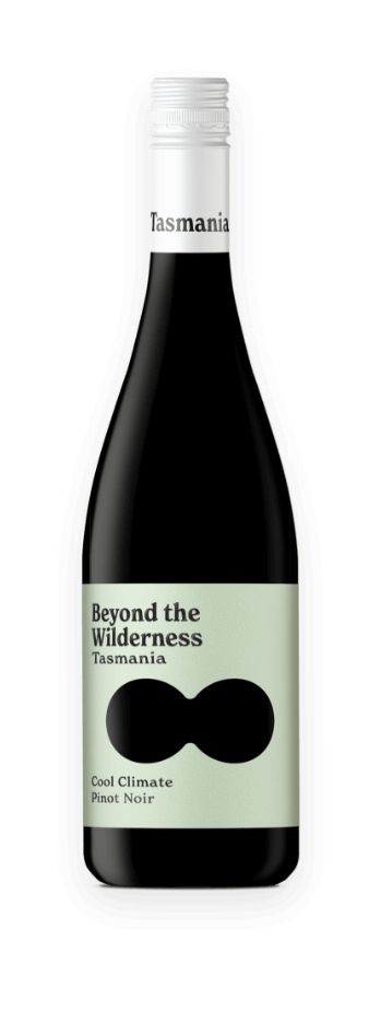 cool climate pinot noir beyond the wilderness